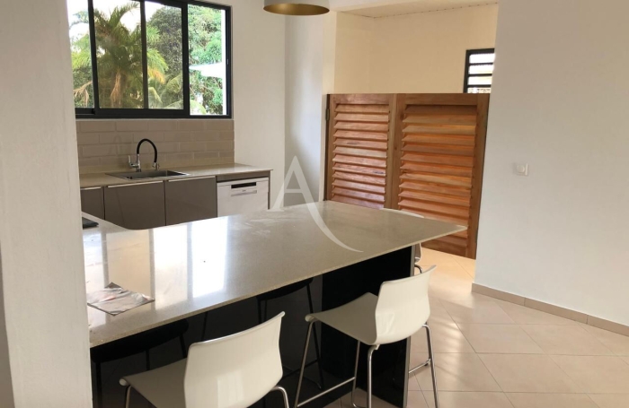 Vente Immeuble 14 pi&egrave;ces Cayenne
