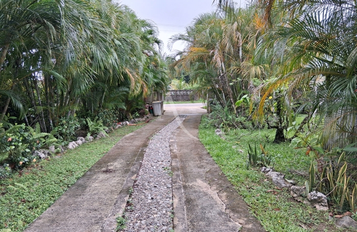 Location Maison 