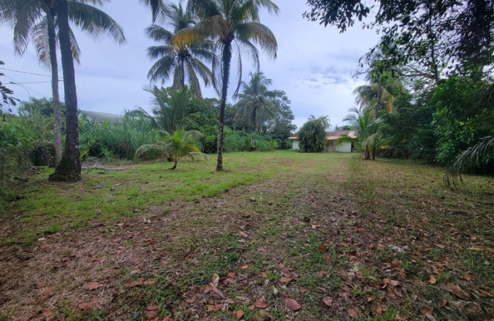 Vente Terrain 97354
