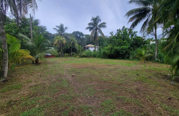 Vente Terrain 1702m&sup2; Remire Montjoli