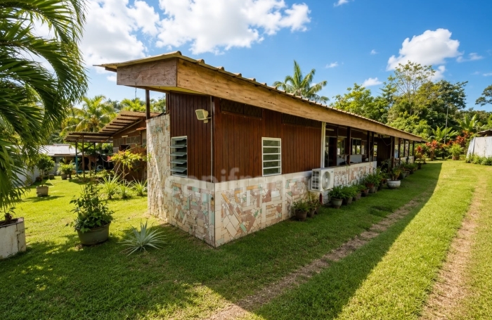 Vente Maison 197m&sup2; 8 pièces Montsinery
