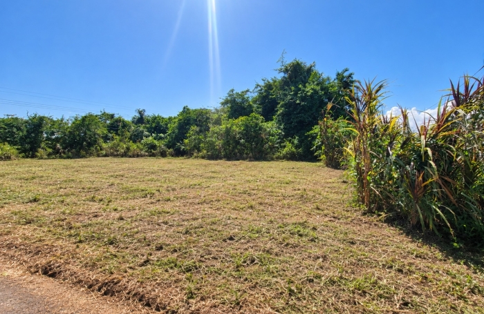 Vente Terrain 97355