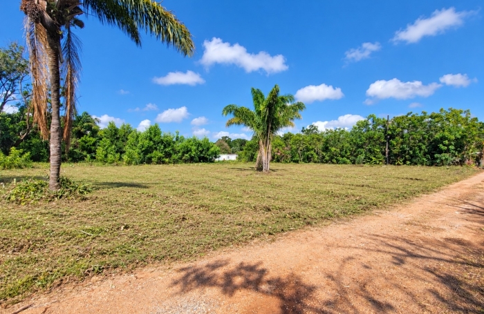 Vente Terrain 1008m&sup2; Macouria Tonate