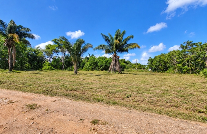 Vente Terrain 1008m&sup2; Macouria Tonate