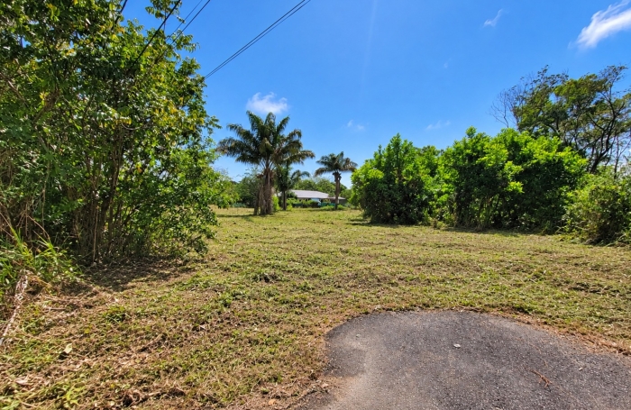 Vente Terrain 1008m&sup2; Macouria Tonate