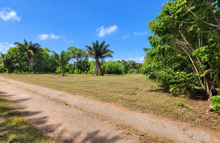 Vente Terrain 97355