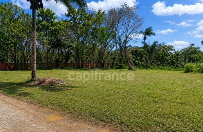 Vente Terrain 1008m&sup2; Macouria Tonate