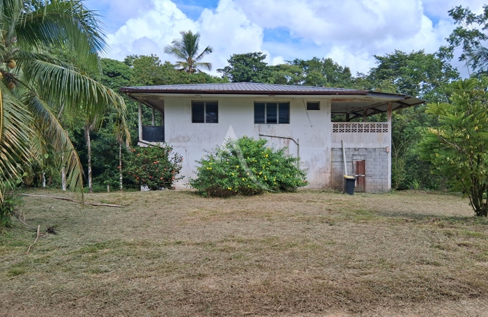 Vente Immeuble 245m&sup2; 7 pi&egrave;ces Matoury