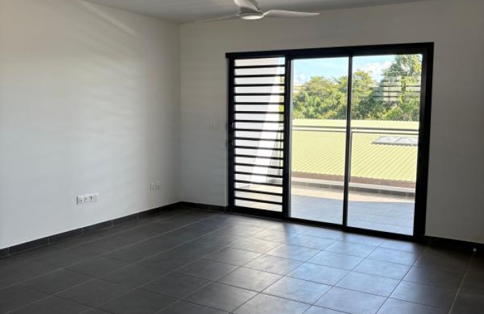 Location Appartement 97354
