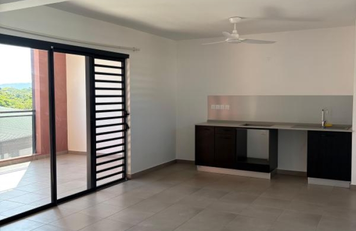 Location Appartement 97354