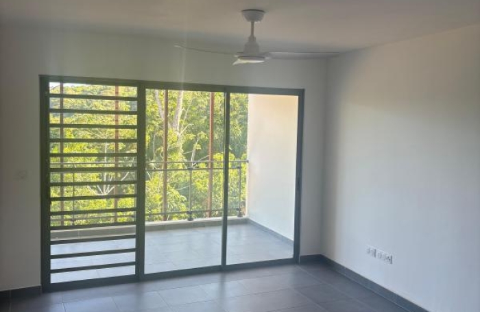 Location Appartement 97354