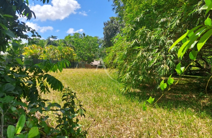 Vente Terrain 