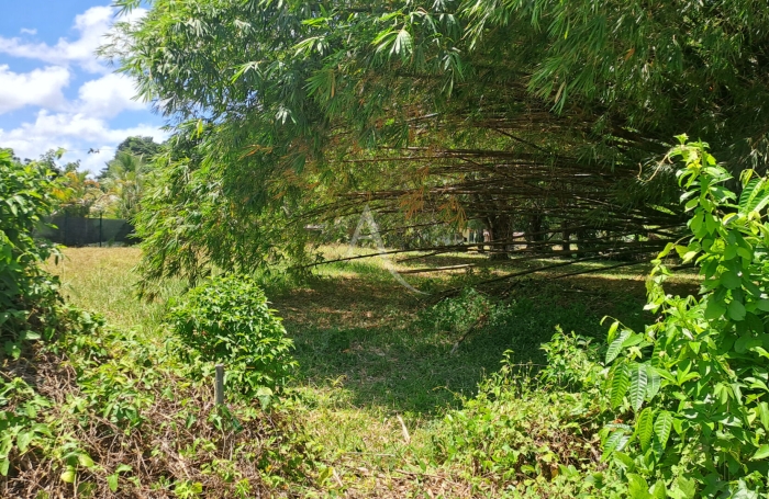Vente Terrain 4019m&sup2; Matoury
