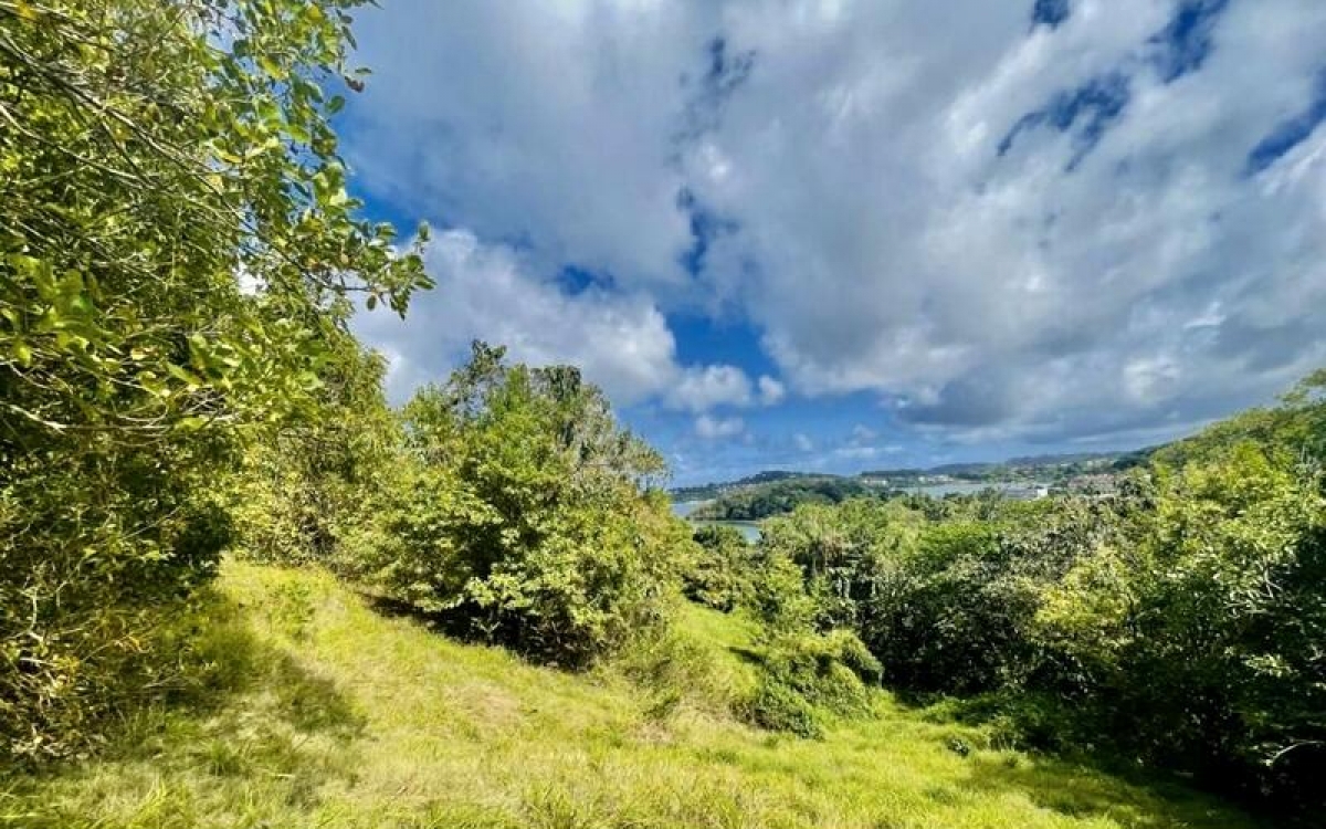 Vente Terrain 