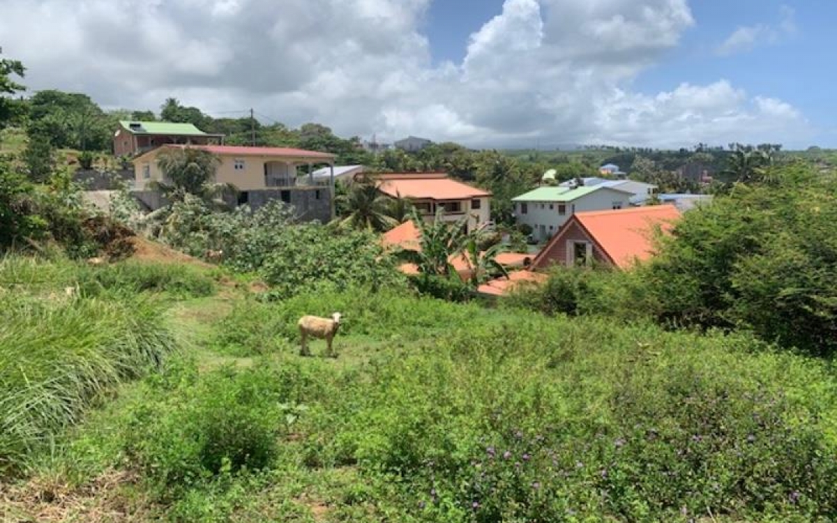 Le MARIGOT - Terrain de 2 608 m&sup2; - 210 000 euros FAI