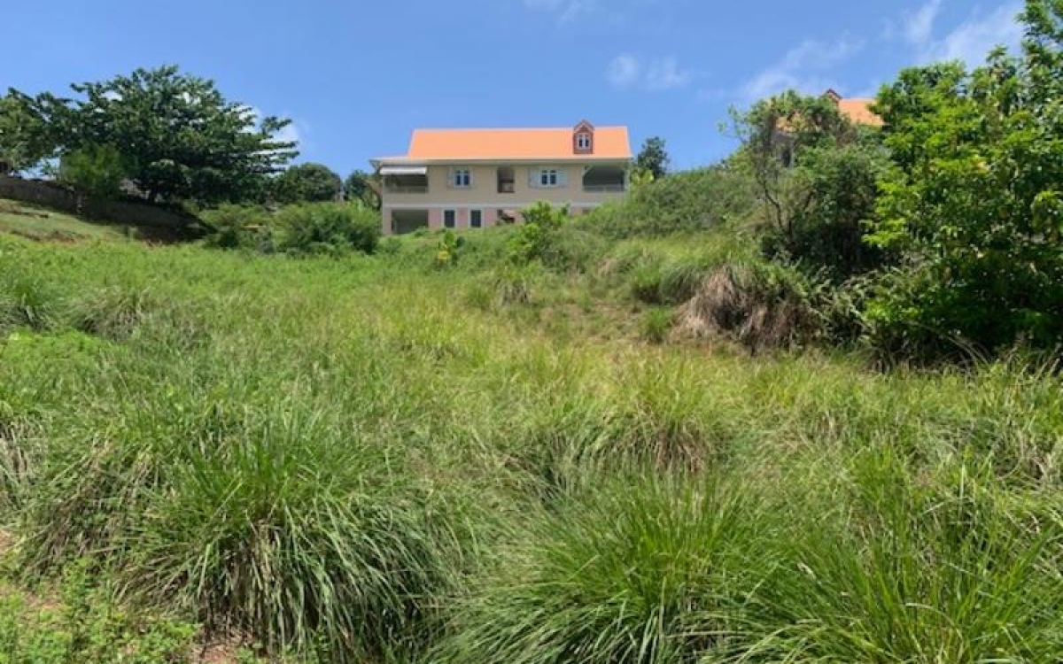 Le MARIGOT - Terrain de 2 608 m&sup2; - 210 000 euros FAI