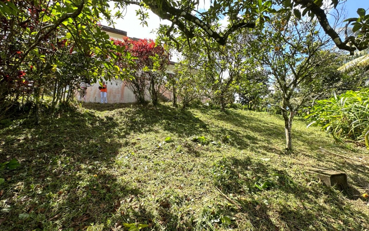 TERRAIN  CONSTRUCTIBLE 780M²