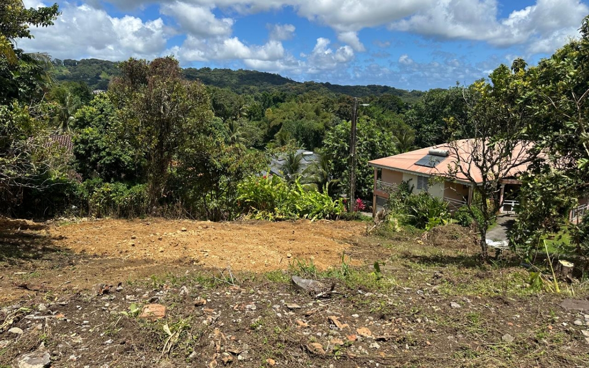 TERRAIN  CONSTRUCTIBLE 780M²