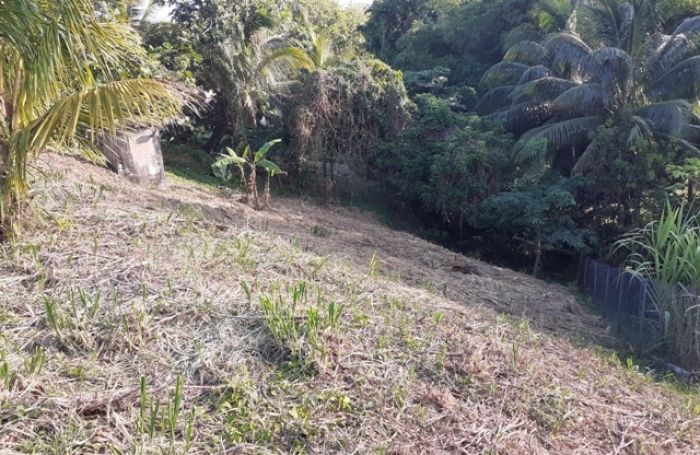 Terrain &agrave; vendre BALATA - FORT-DE-FRANCE