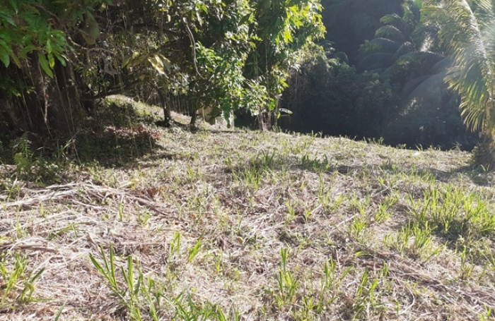 Terrain &agrave; vendre BALATA - FORT-DE-FRANCE