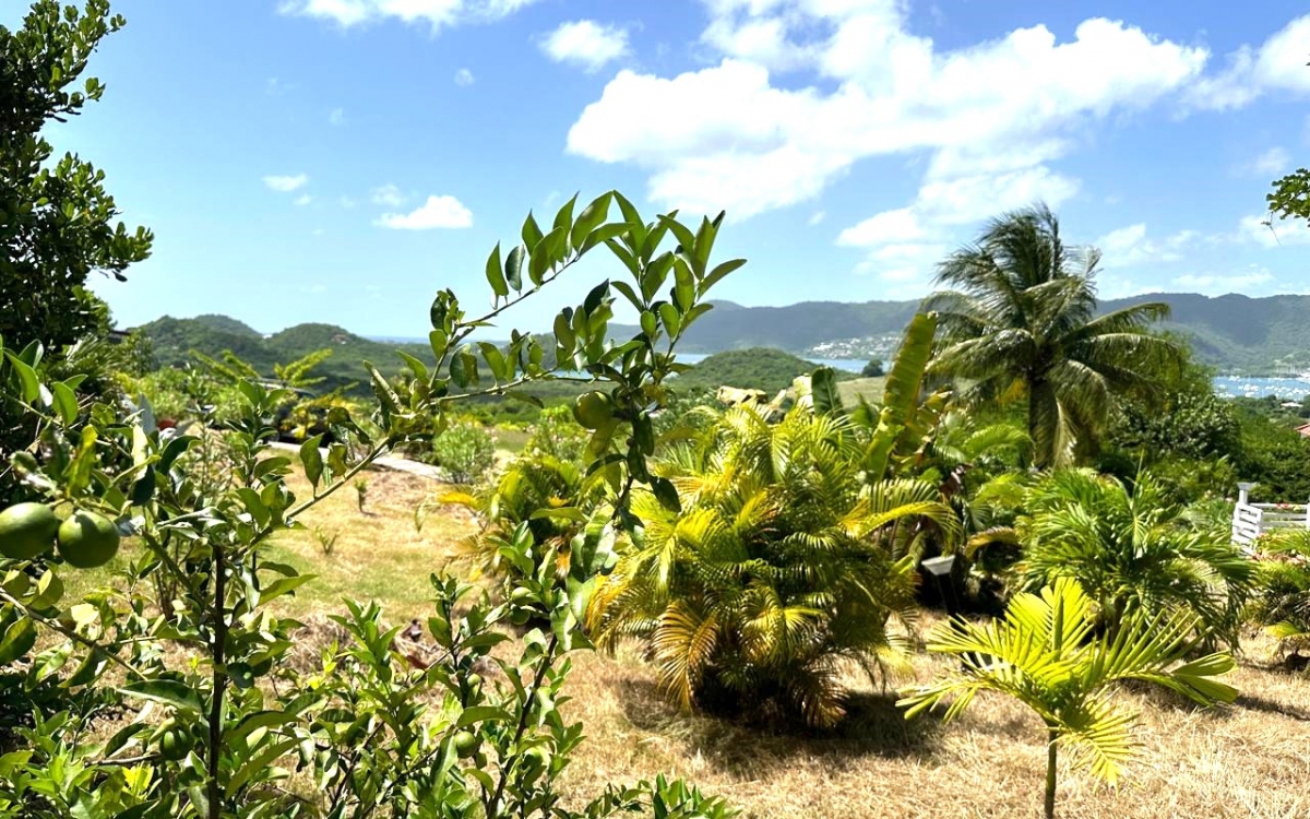 SAINTE ANNE- PROPRIETE VUE MER PANORAMIQUE 10000M&sup2; TERRAIN