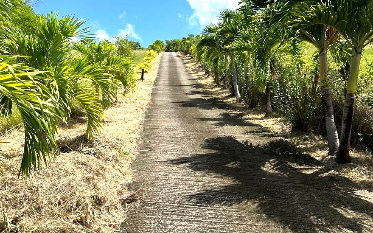 SAINTE ANNE- PROPRIETE VUE MER PANORAMIQUE 10000M&sup2; TERRAIN