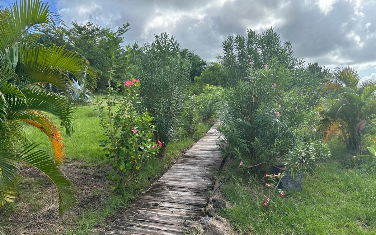 SAINTE ANNE- PROPRIETE VUE MER PANORAMIQUE 10000M&sup2; TERRAIN