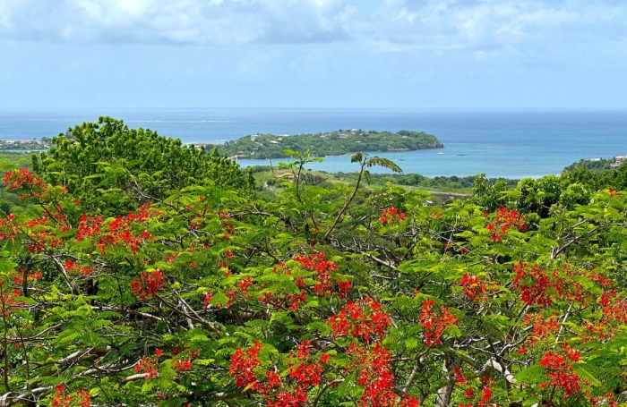 Vente Maison 167.75m&sup2; 5 pièces Le Vauclin