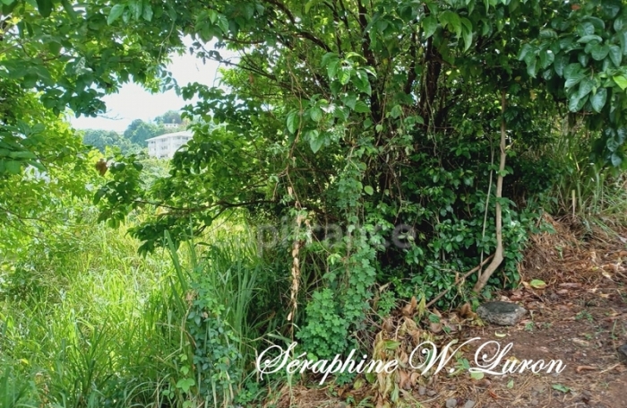 Vente Terrain 2247m&sup2; La Trinit&eacute;