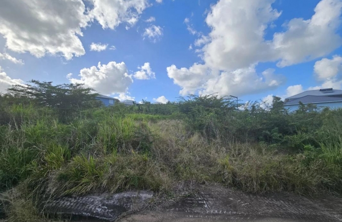 Vente Terrain 623m&sup2; Le Diamant