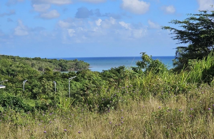 Vente Terrain 623m&sup2; Le Diamant