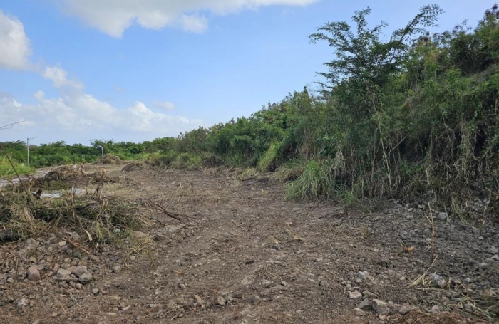 Vente Terrain 623m&sup2; Le Diamant