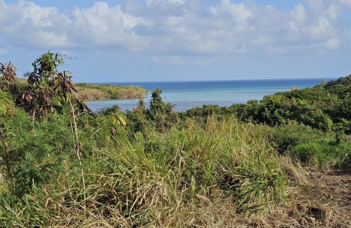 Vente Terrain 623m&sup2; Le Diamant