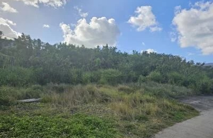 Vente Terrain 615m&sup2; Le Diamant