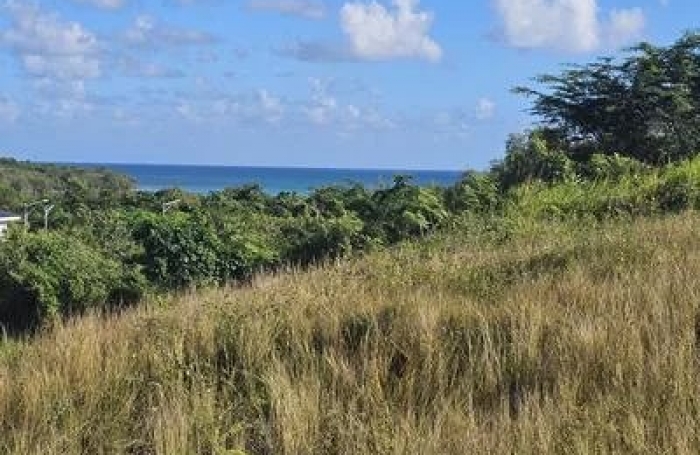 Vente Terrain 615m&sup2; Le Diamant