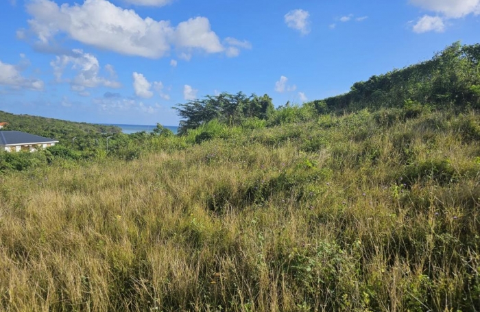 Vente Terrain 615m&sup2; Le Diamant