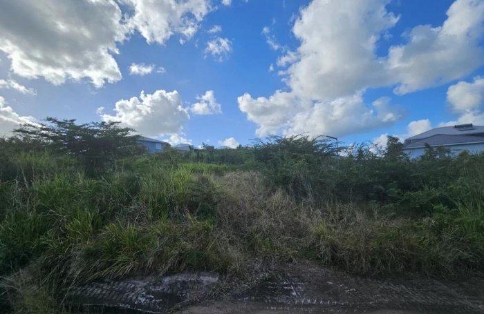 Vente Terrain 615m&sup2; Le Diamant