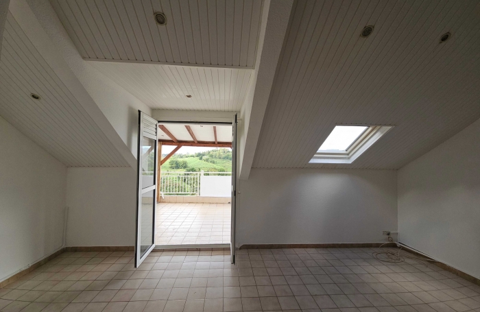 Charmant F3 avec mezzanine et grande terrasse