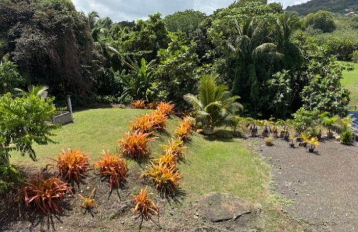 Vente Immeuble 363m&sup2; Le Vauclin