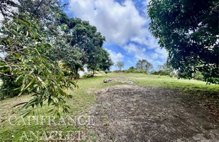 Vente Terrain 4525m&sup2; La Trinit&eacute;