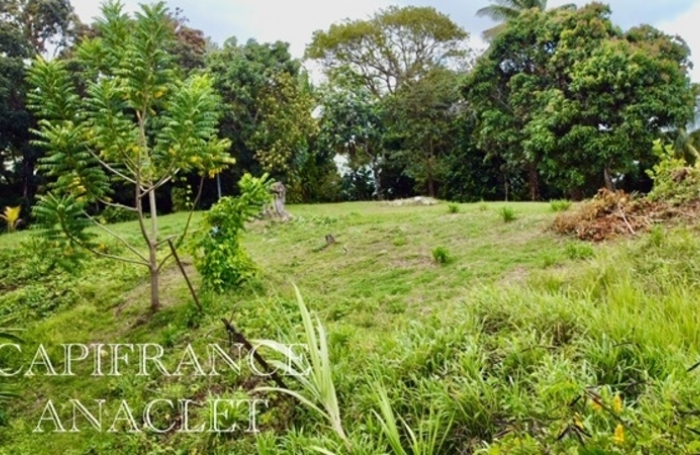 Vente Terrain 4525m&sup2; La Trinit&eacute;