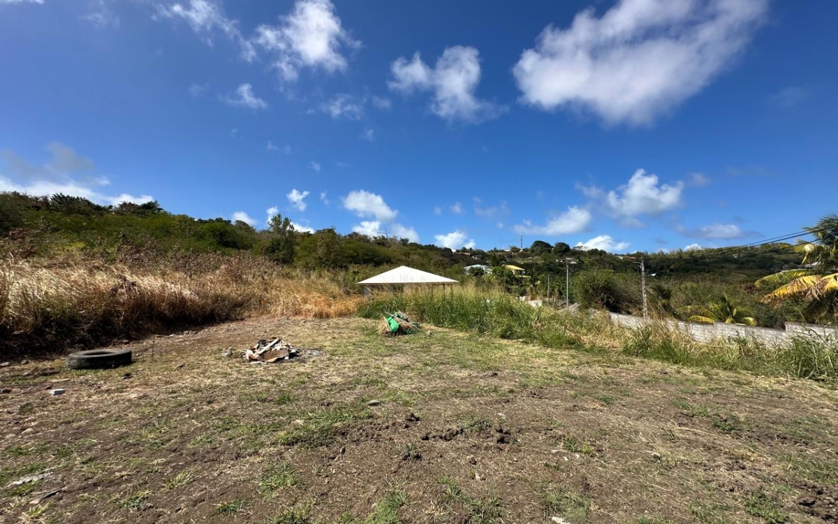 Vente Terrain 97290