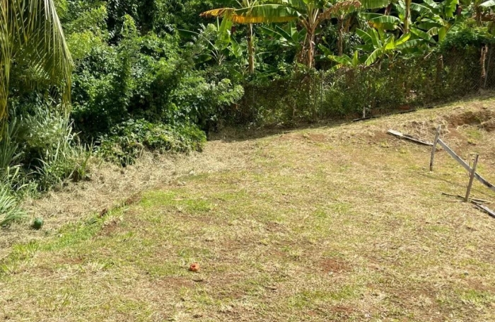 Vente Terrain 653m&sup2; Le Marigot