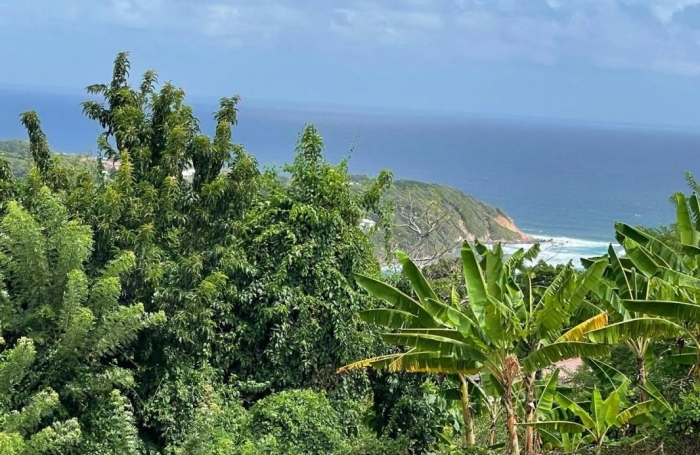 Vente Terrain 653m&sup2; Le Marigot