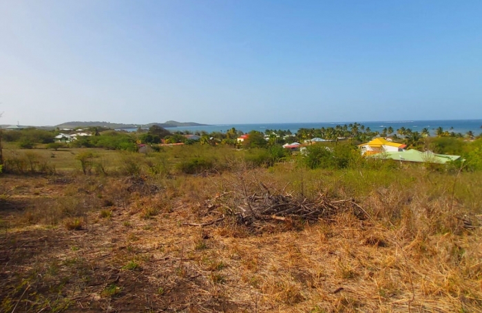 Vente Terrain 1745m&sup2; Le Vauclin