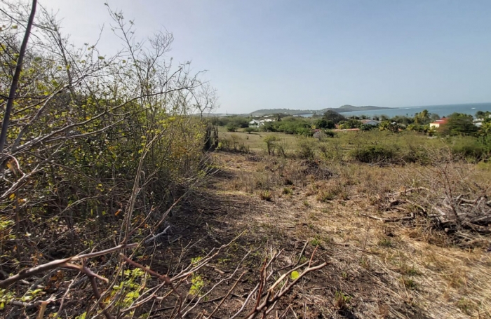Vente Terrain 1820m&sup2; Le Vauclin
