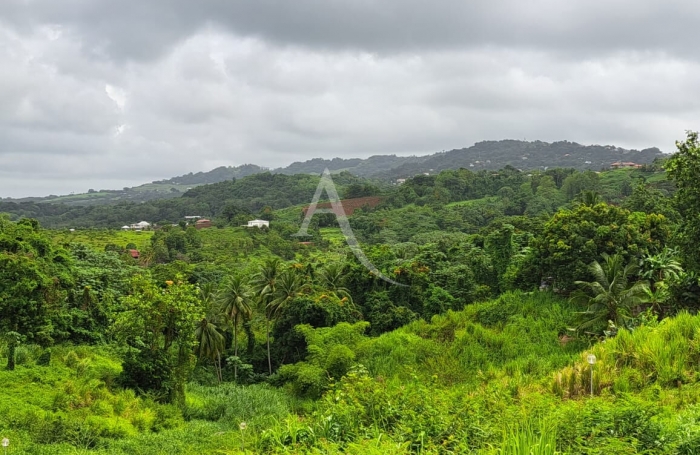 Vente Terrain 701m² Ducos