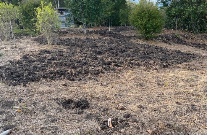 Ensemble deux terrains LES TROIS-ILETS