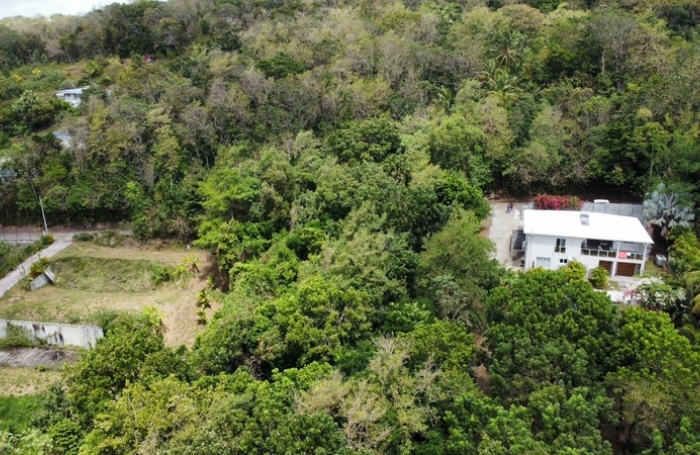 Vente Terrain 1981m&sup2; Sainte Luce