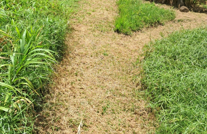 Terrain à batir zone CACEM